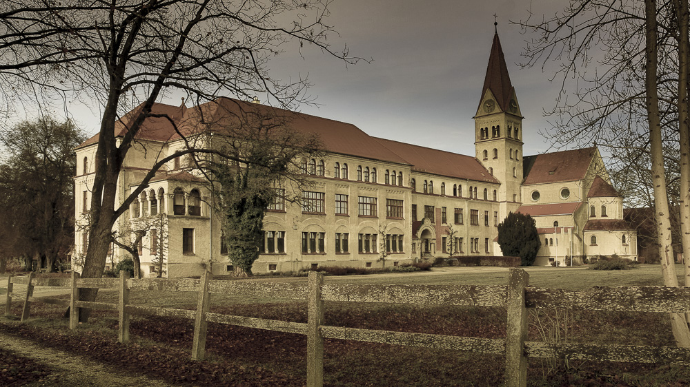 7. Platz Anton Kienle